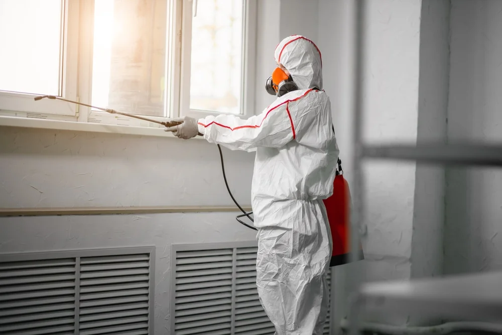 Professional mold remediation services in Walnut Creek, OH